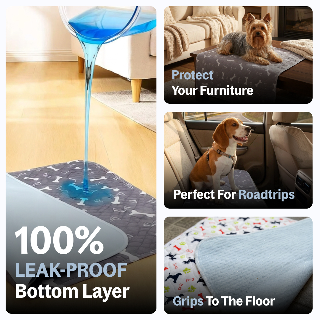 LufiPad - The Last Pee Pad You'll Get