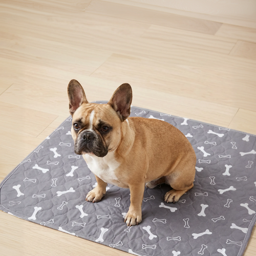 LufiPad - The Last Pee Pad You'll Get