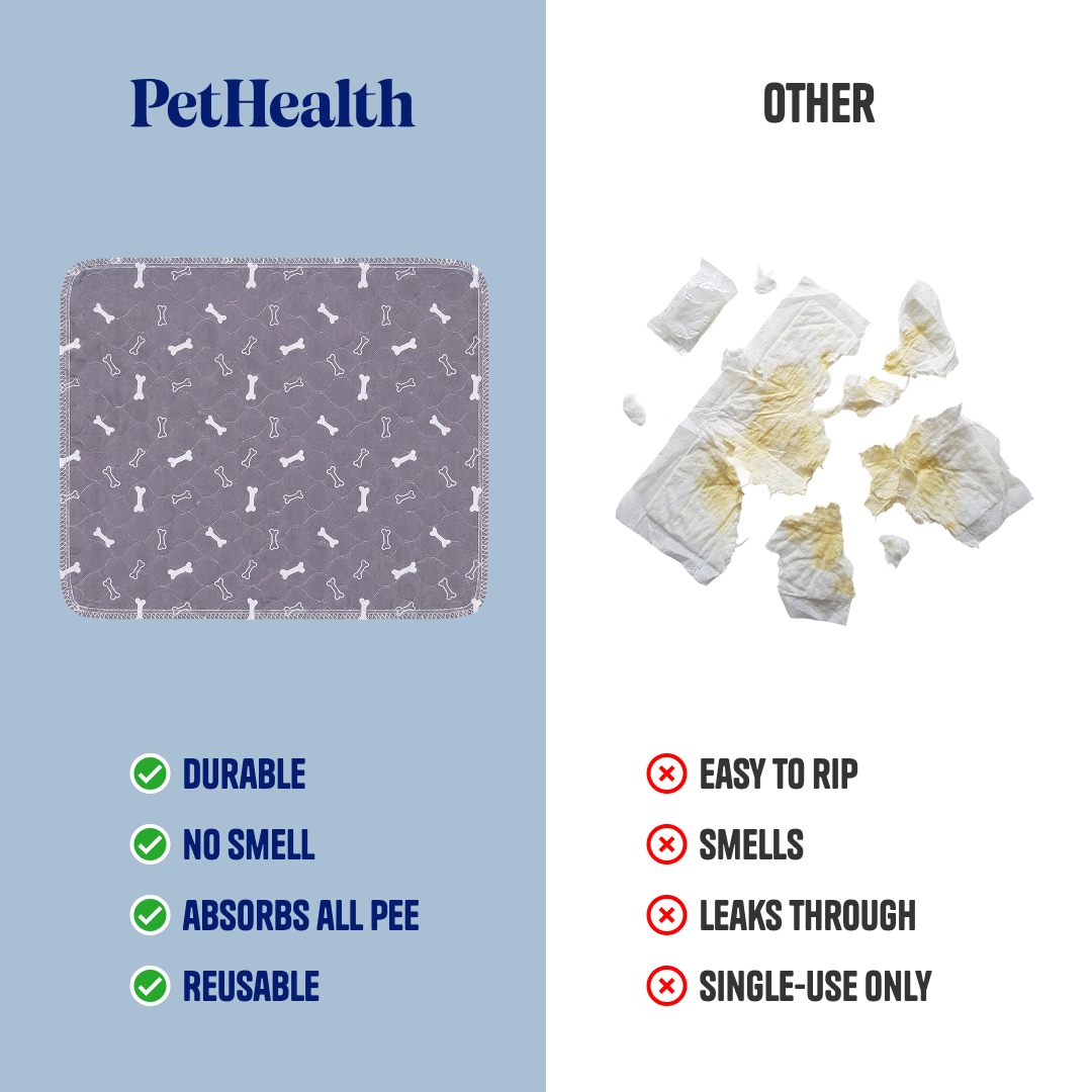 LufiPad - The Last Pee Pad You'll Get